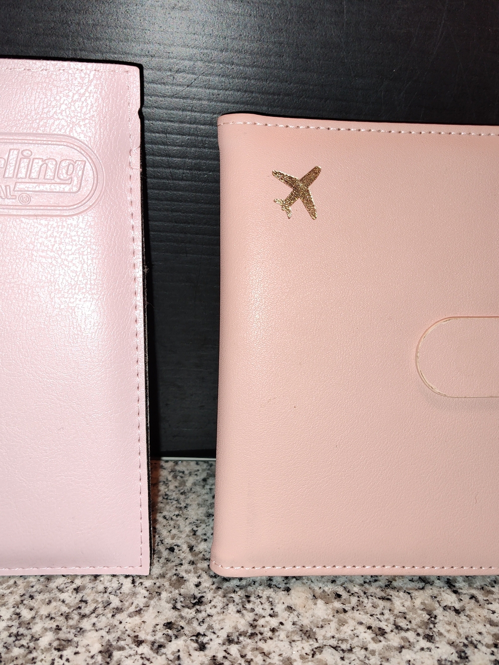 Travel Passport Wallet Holder Waterproof Rfid Blocking & Sterling Glasses Case